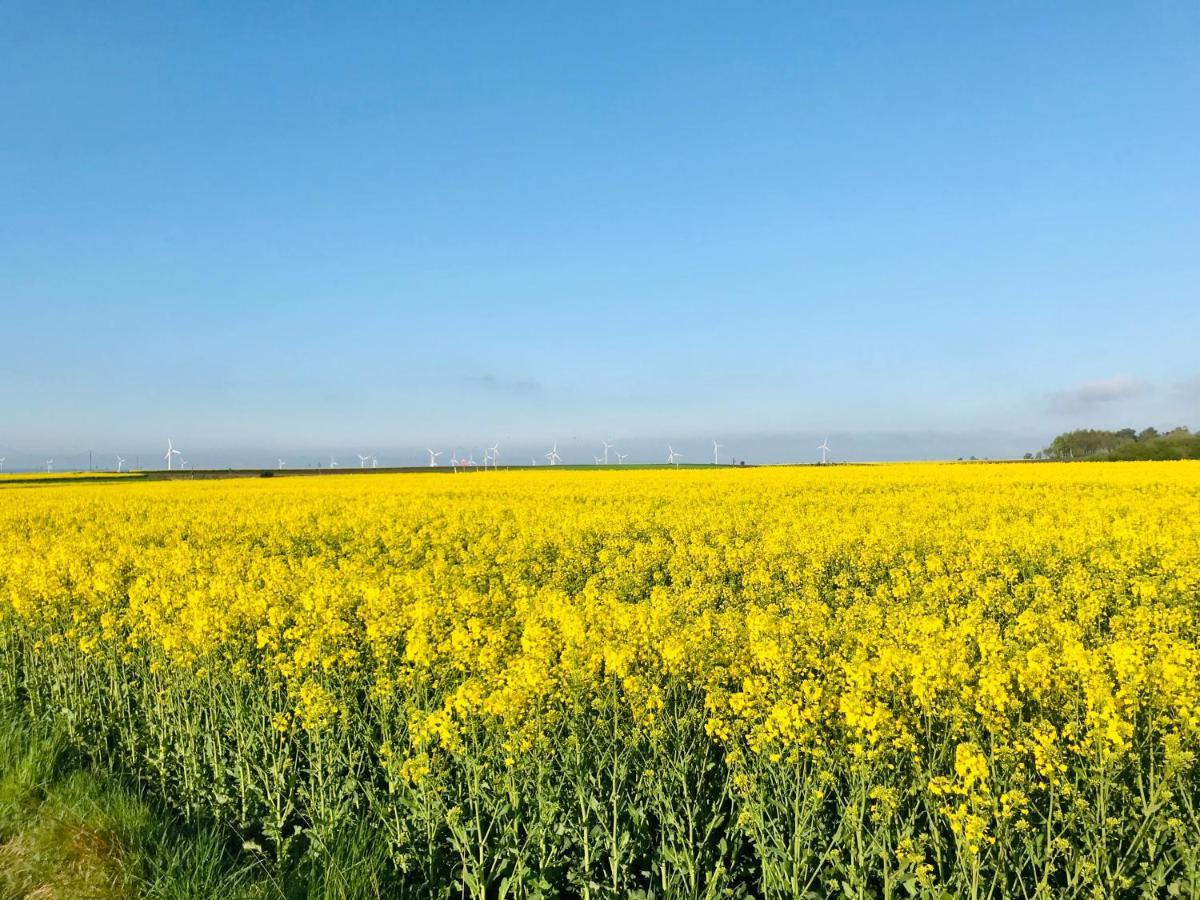 Domki I Apartamenty Caloroczne Koliber Władysławowo Dış mekan fotoğraf