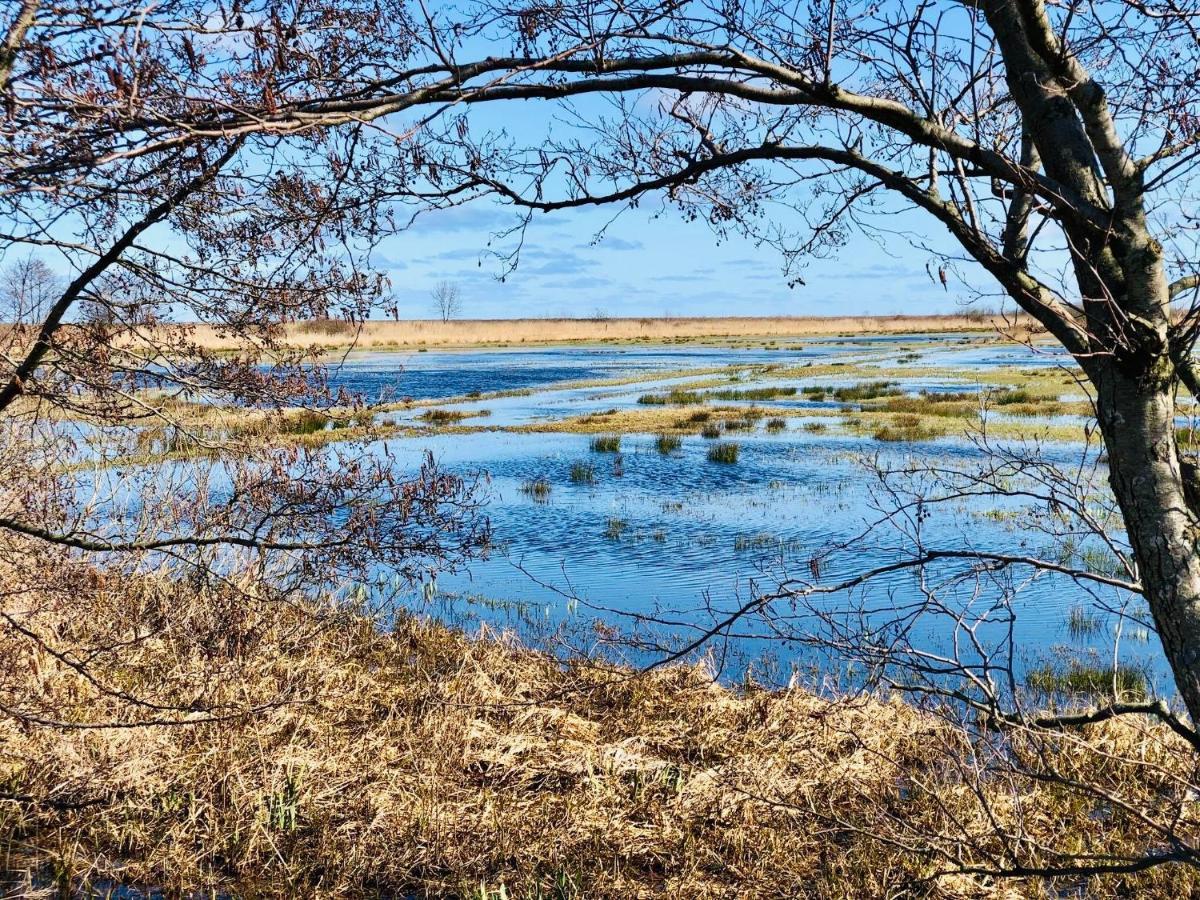 Domki I Apartamenty Caloroczne Koliber Władysławowo Dış mekan fotoğraf